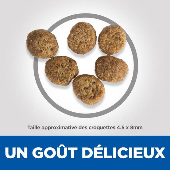 Science plan - Croquettes Chat Poulet - HILL'S SCIENCE PLAN - Image 6