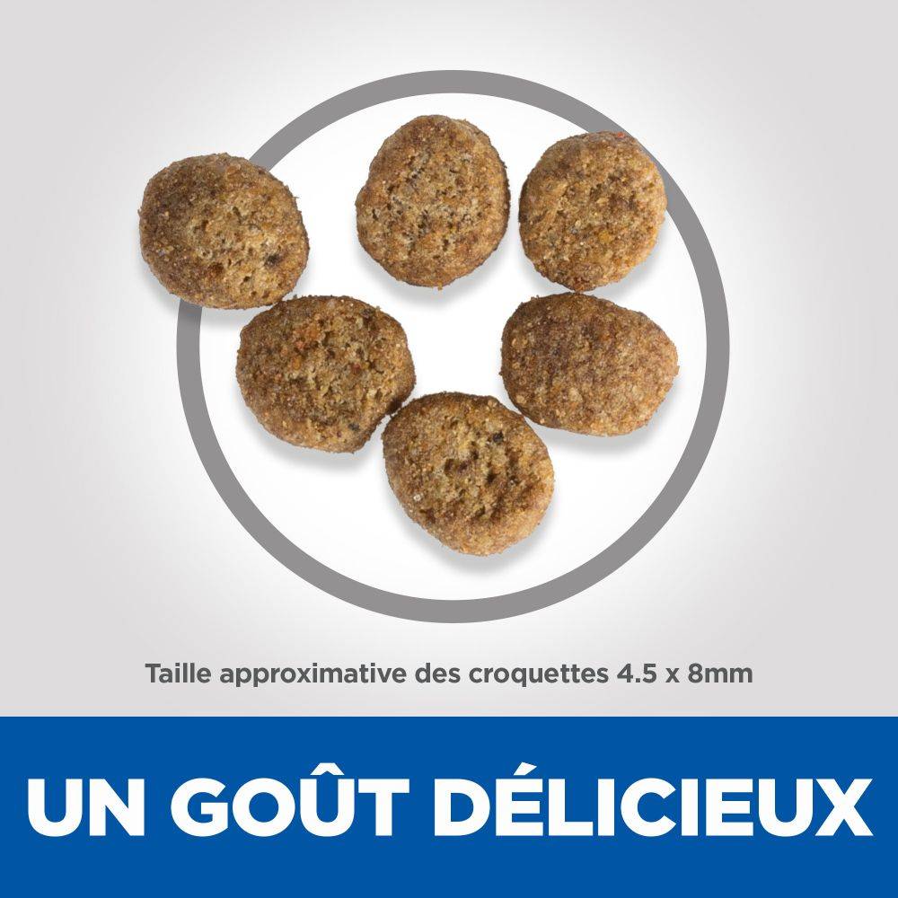 Science plan - Croquettes Chat Poulet - HILL'S SCIENCE PLAN - Image 6