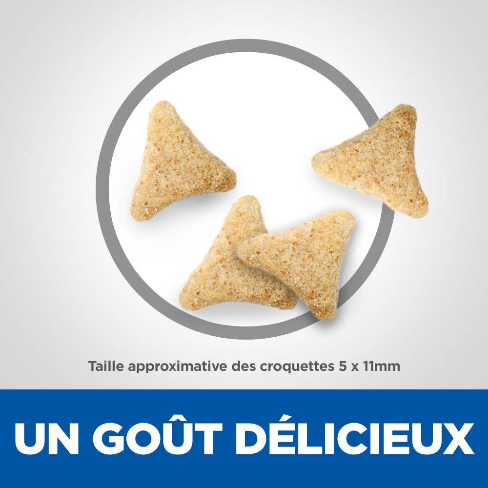 Hill's Pet Nut - Croquettes Chat Adulte Hairball Indoor - HILL'S SCIENCE PLAN - Image 3