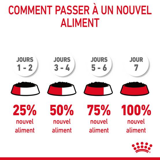 Royal Canin - Bouchées en sauce pour chat adulte - ROYAL CANIN - Image 6