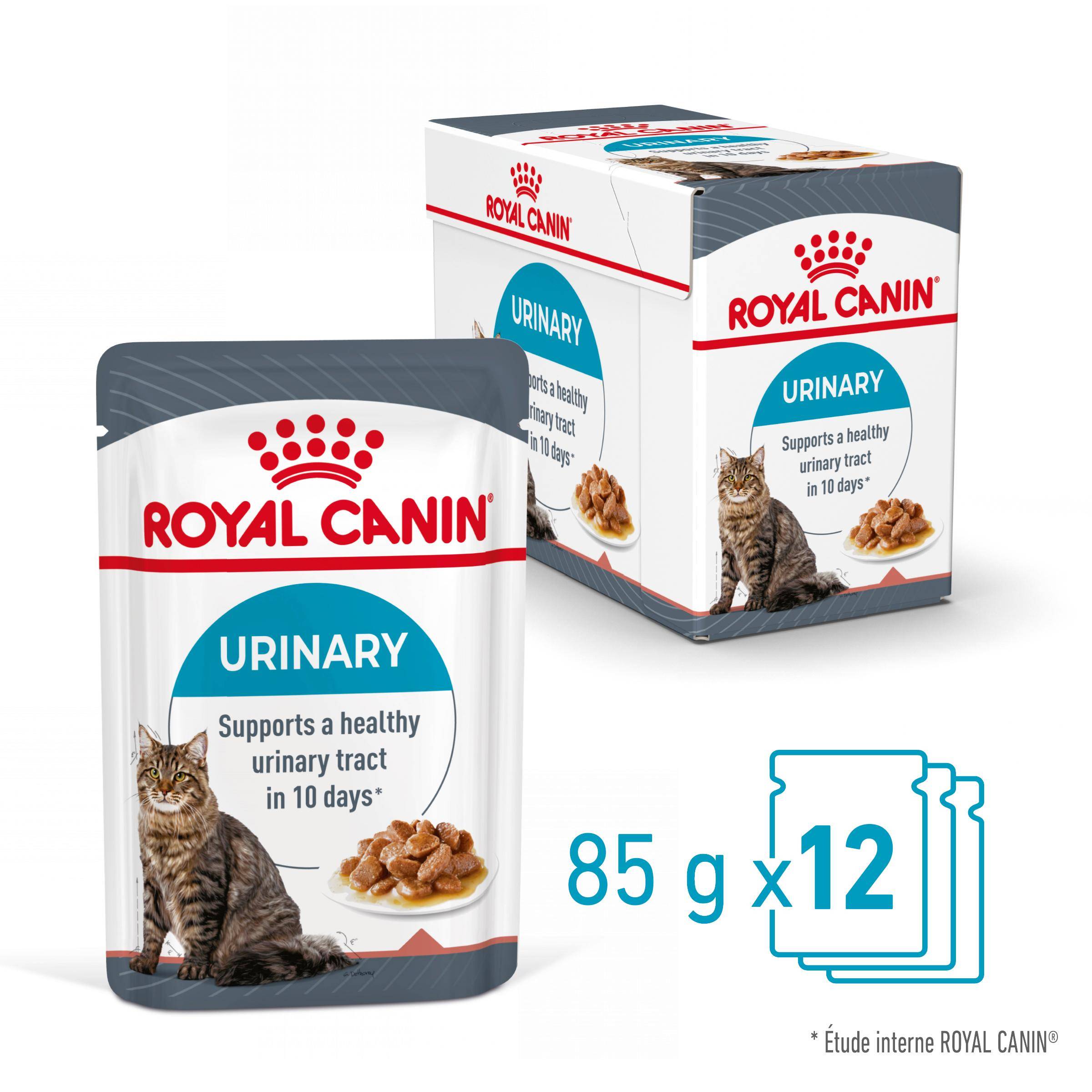 Royal Canin - Bouchées en sauce pour chat adulte - ROYAL CANIN - Image 10