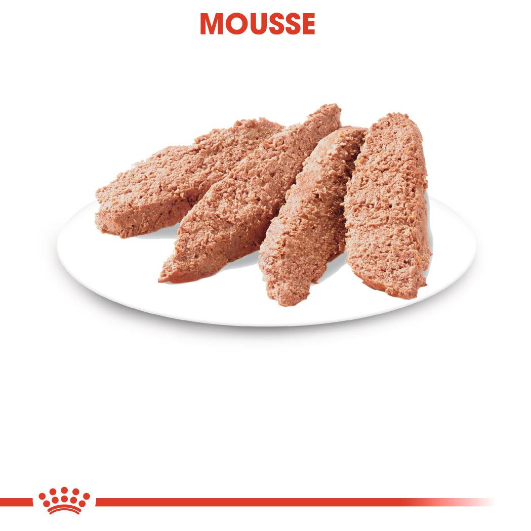 Royal Canin - Sterilised Mousse Aliment Chat - ROYAL CANIN - Image 6