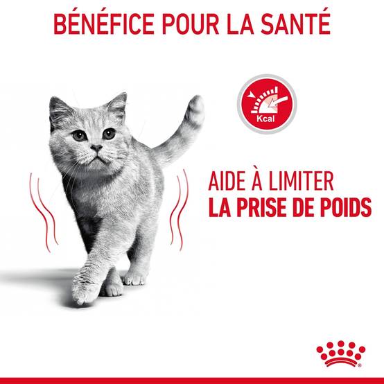 Royal Canin - Aliment chat Light Weight Care sauce - ROYAL CANIN - Image 15