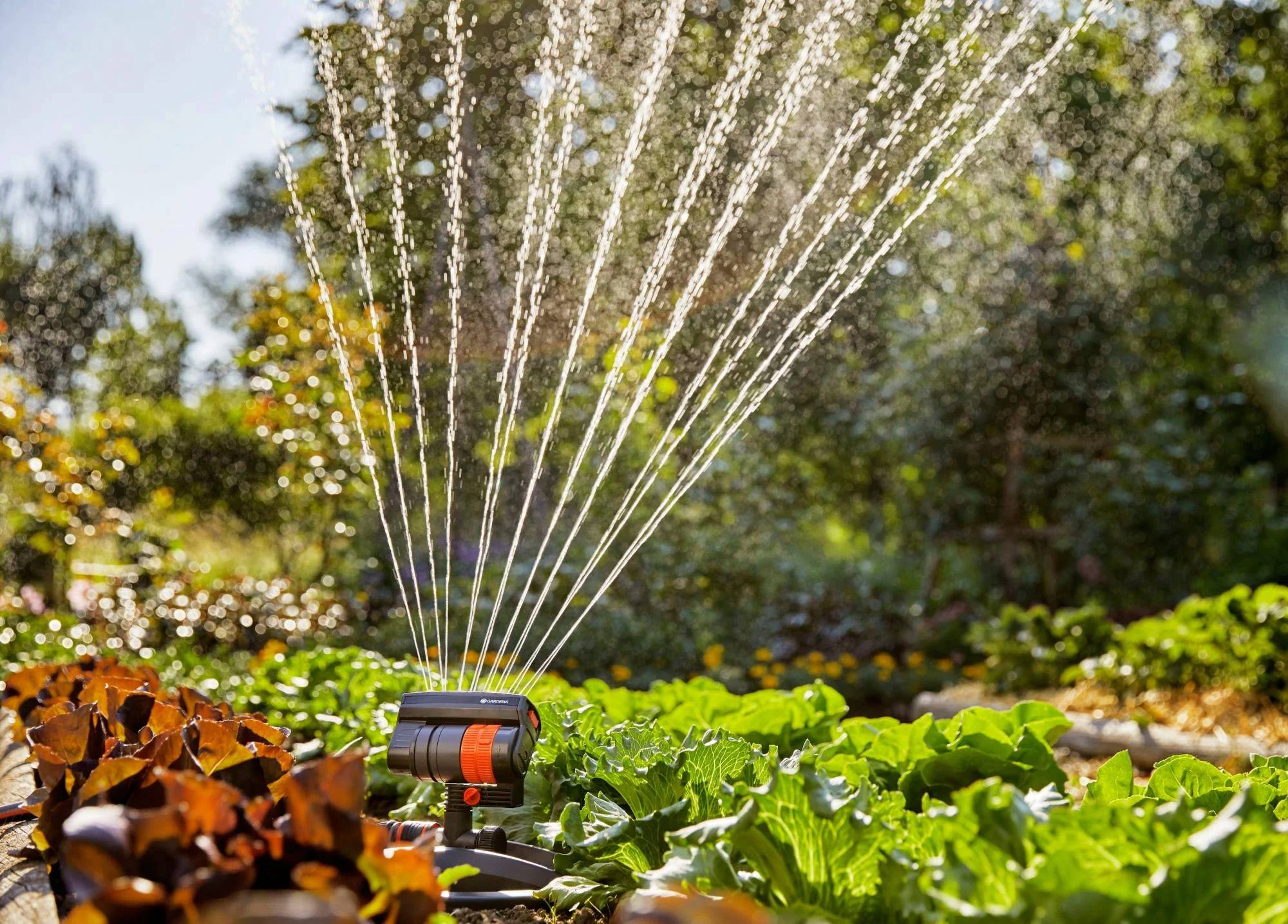 Gardena - Arroseur Oscillant AquaZoom Compact GARDENA - Image 2