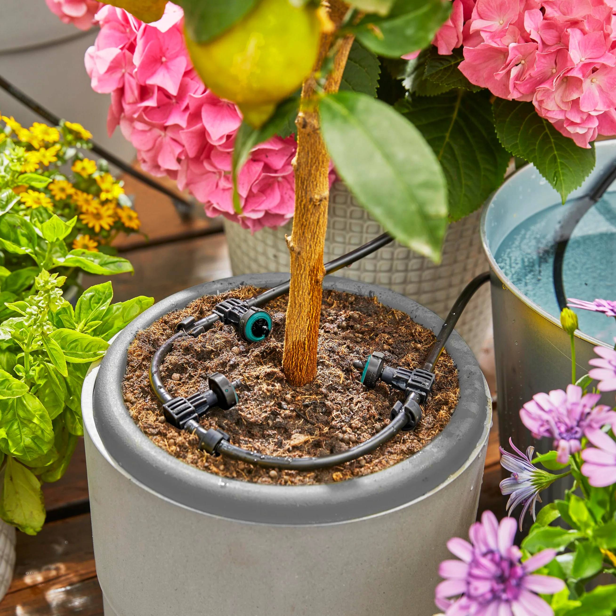 Gardena - Solution d'arrosage automatique solaire AquaBloom 14 programmes - Gardena - Image 12