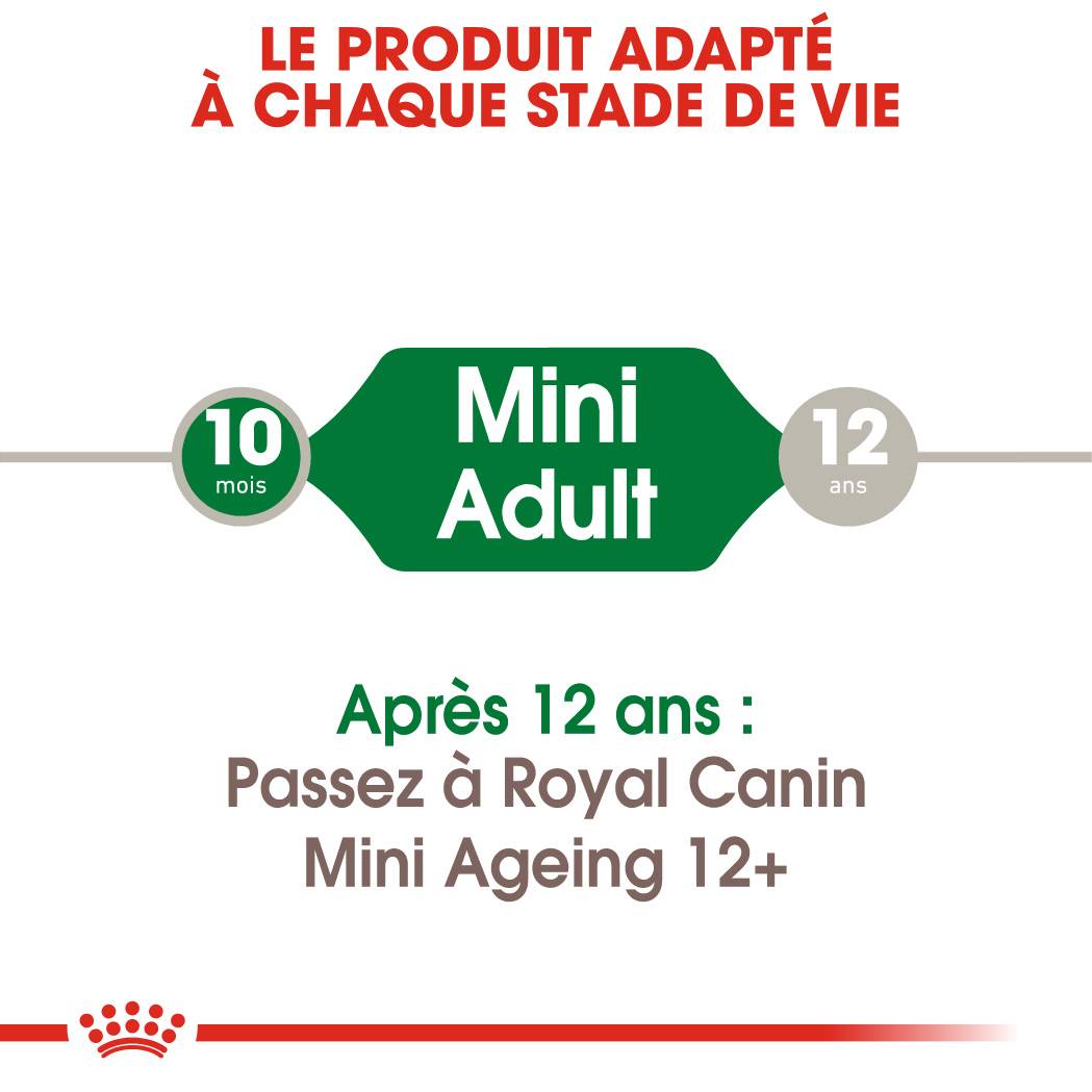 Royal Canin - Aliment chien mini adult – ROYAL CANIN - Image 2
