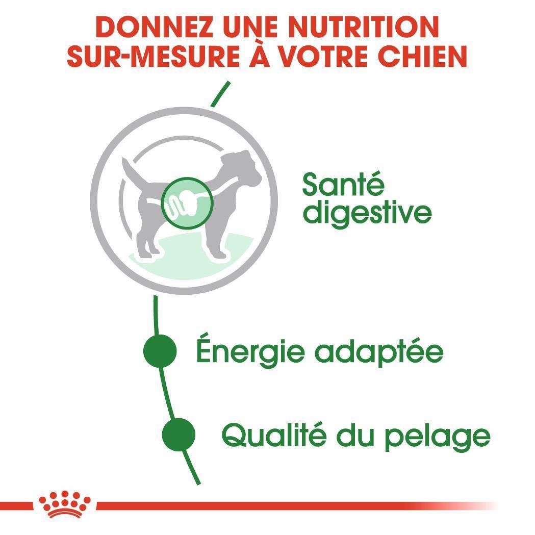Royal Canin - Aliment chien mini adult – ROYAL CANIN - Image 4