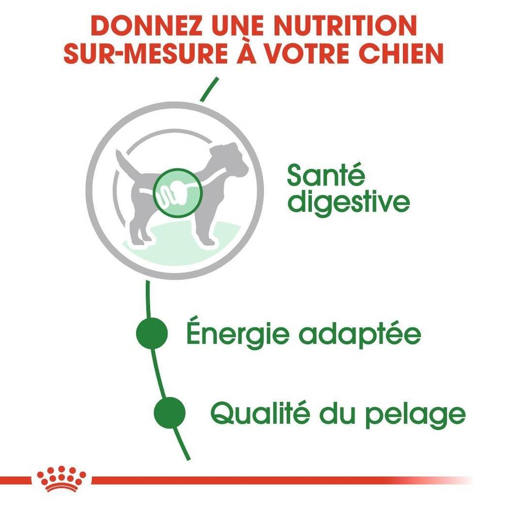 Royal Canin - Aliment chien mini adult – ROYAL CANIN - Image 11