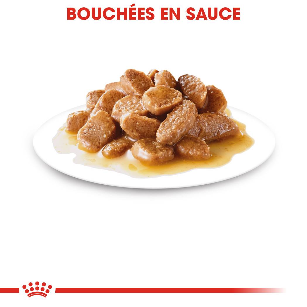 Royal Canin - Alimentation chien mini ageing12+ - ROYAL CANIN - Image 7