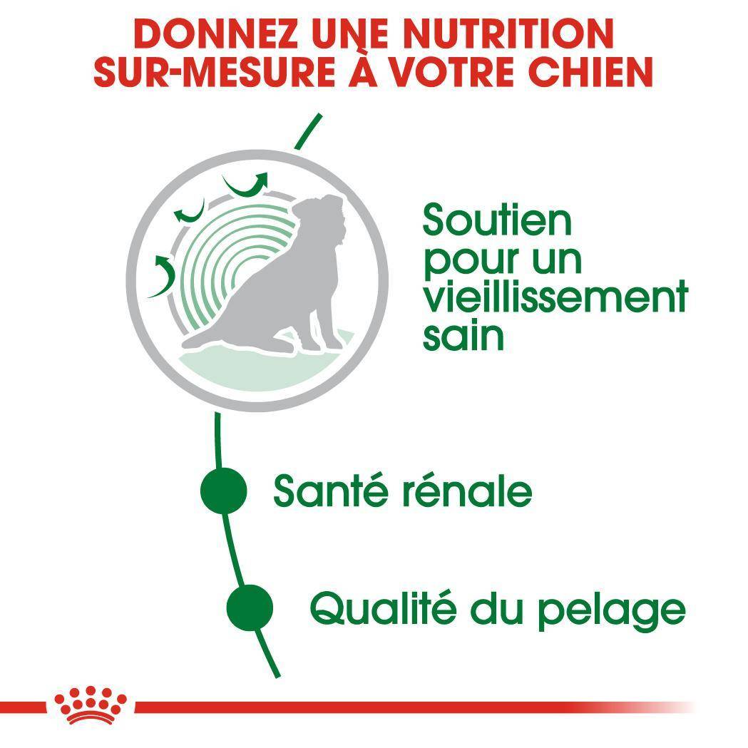 Royal Canin - Alimentation chien mini ageing12+ - ROYAL CANIN - Image 3