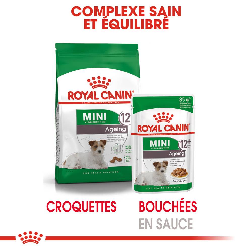 Royal Canin - Alimentation chien mini ageing12+ - ROYAL CANIN - Image 12