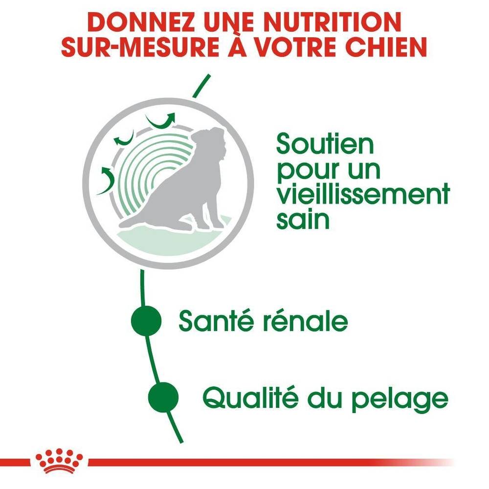 Royal Canin - Alimentation chien mini ageing12+ - ROYAL CANIN - Image 13
