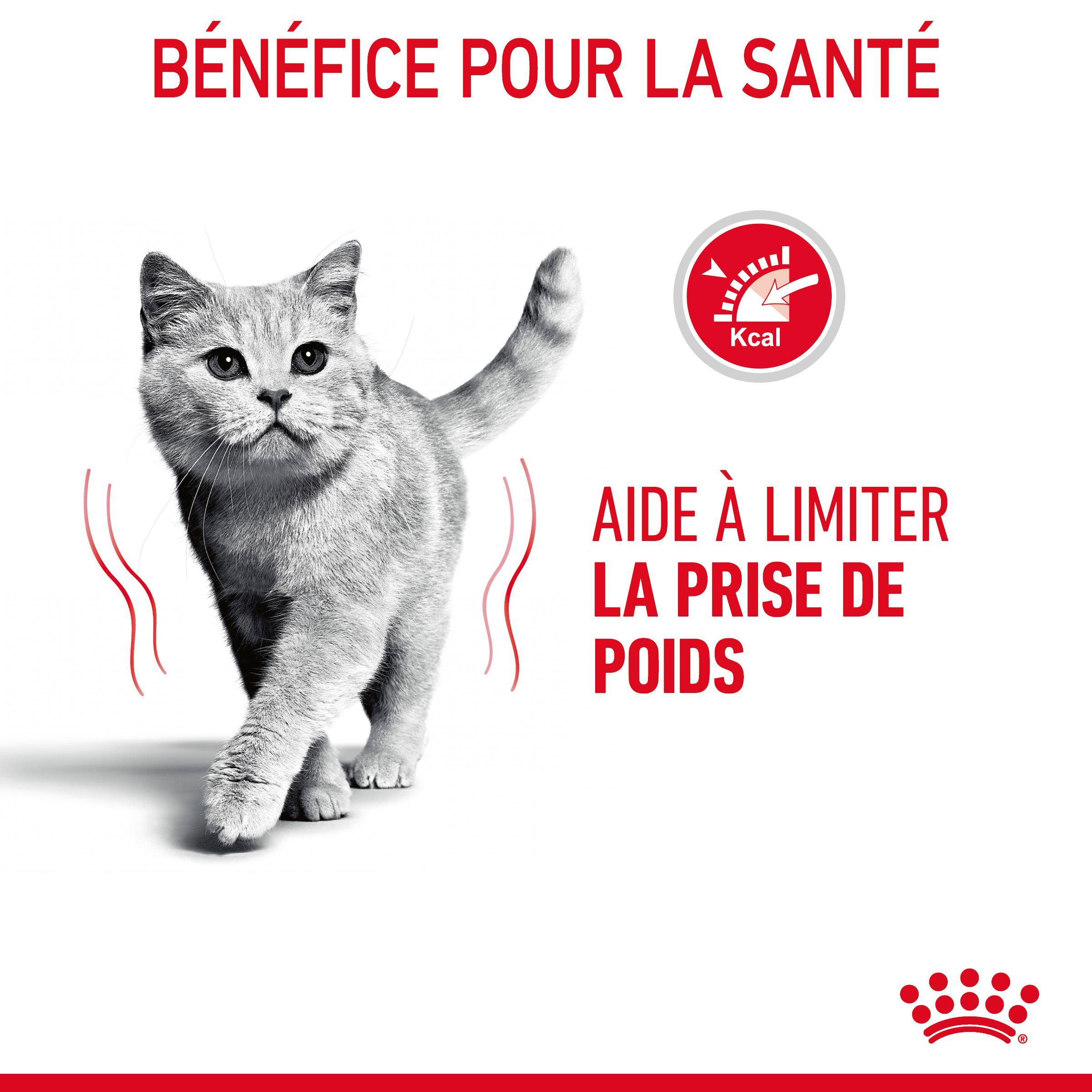 Royal Canin - Croquettes pour chat Adulte ROYAL CANIN - Image 7