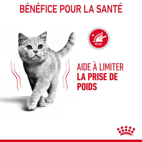 Royal Canin - Croquettes chat adulte Light Weight Care – ROYAL CANIN - Image 10