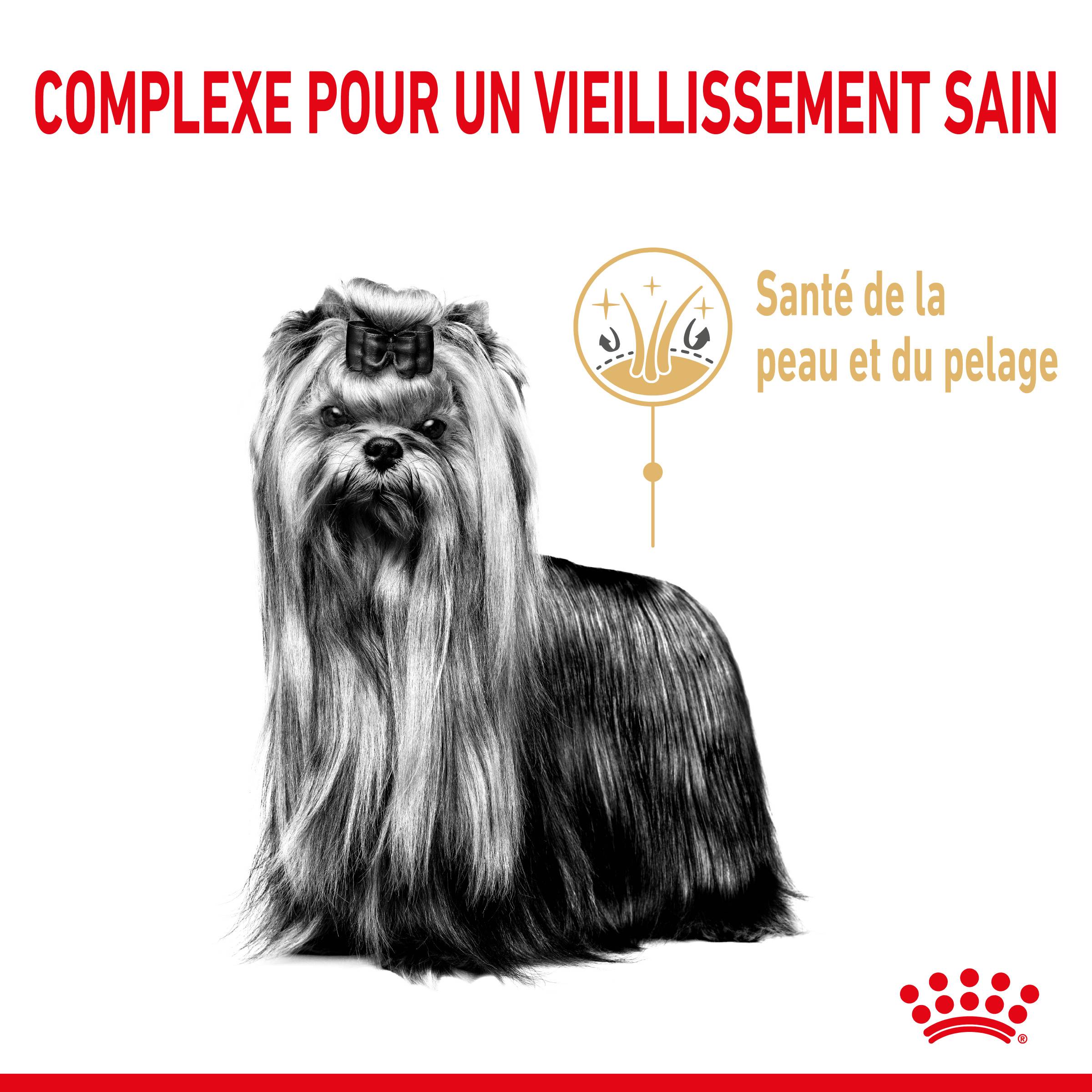 Royal Canin - Croquettes Chien Yorkshire Terrier Adulte 8+ - ROYAL CANIN - Image 6