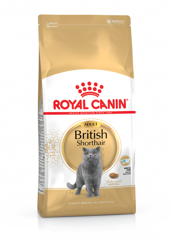 Royal Canin - Royal Canin - Croquettes Chat Adult British Shorthair 400 g - Image 2