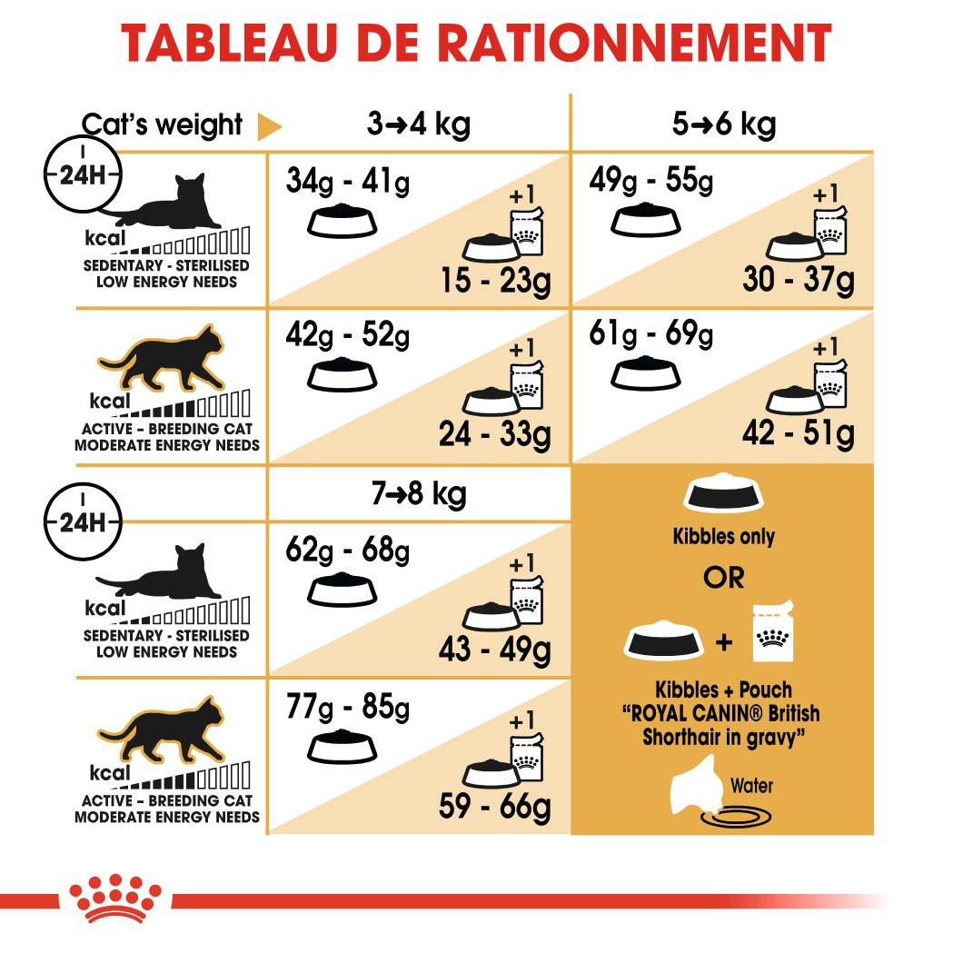 Royal Canin - Royal Canin - Croquettes Chat Adult British Shorthair 400 g - Image 7