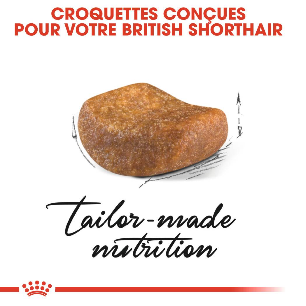 Royal Canin - Royal Canin - Croquettes Chat Adult British Shorthair 400 g - Image 8