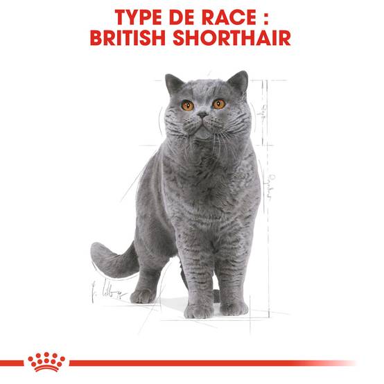 Royal Canin - Royal Canin - Croquettes Chat Adult British Shorthair 400 g - Image 4