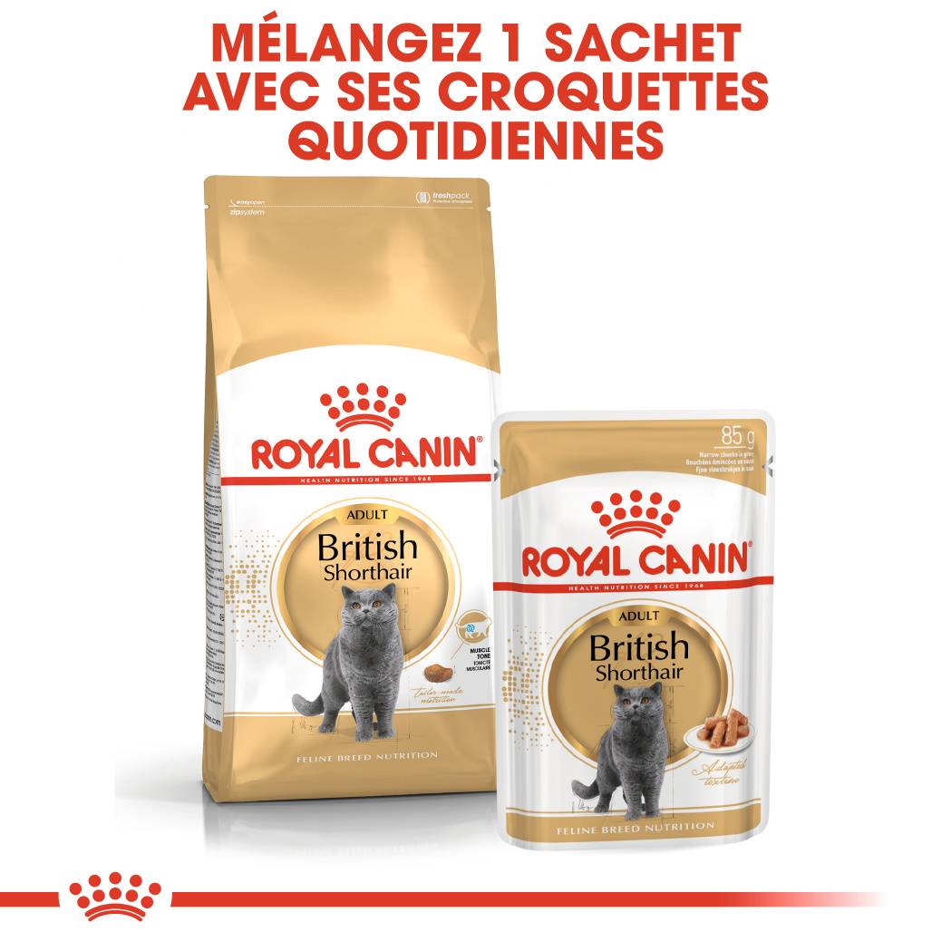 Royal Canin - Royal Canin - Croquettes Chat Adult British Shorthair 400 g - Image 5