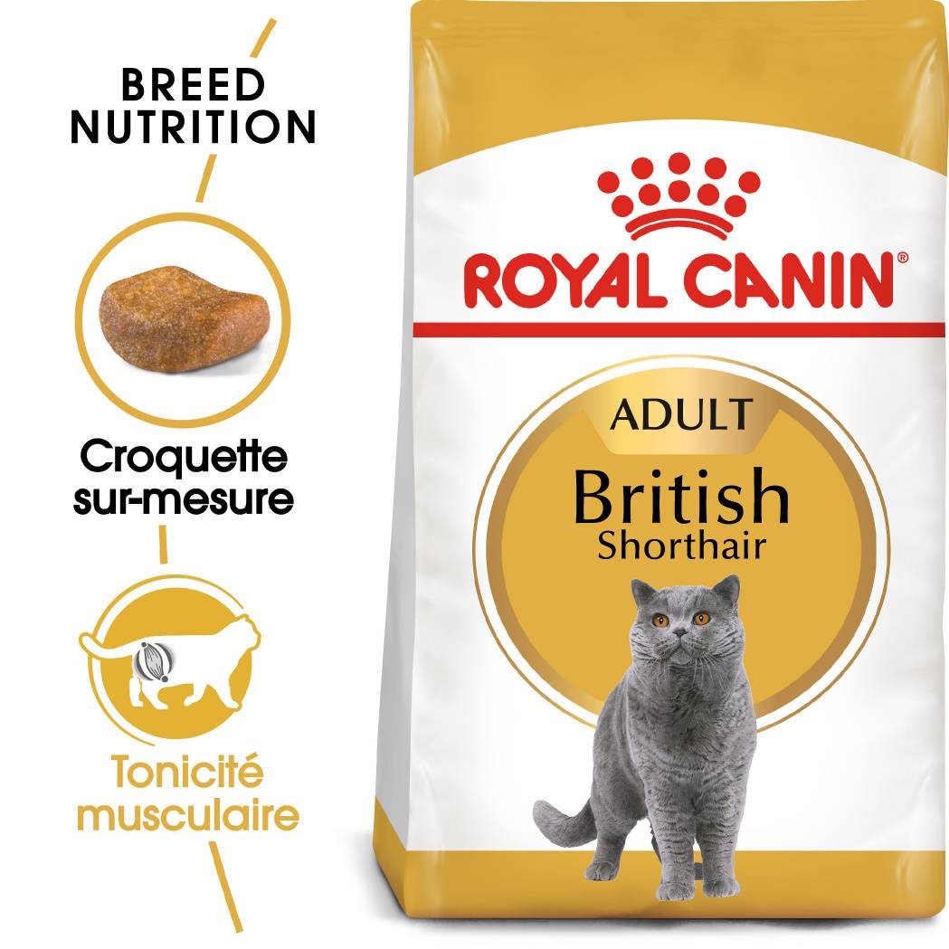 Royal Canin - Royal Canin - Croquettes Chat Adult British Shorthair 400 g - Image 1