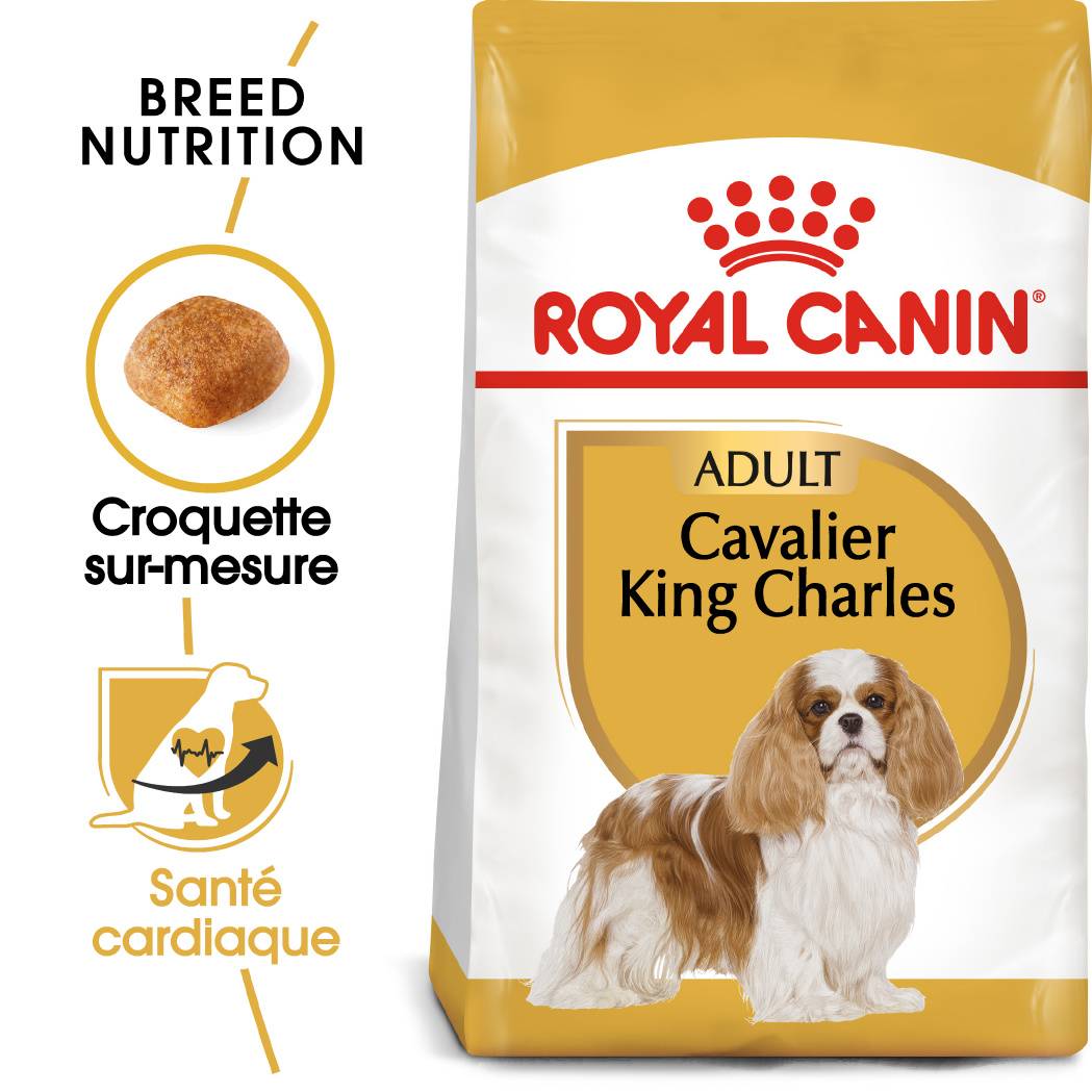 Royal Canin - Croquettes pour Chien Cavalier King Charles - ROYAL CANIN - Image 1
