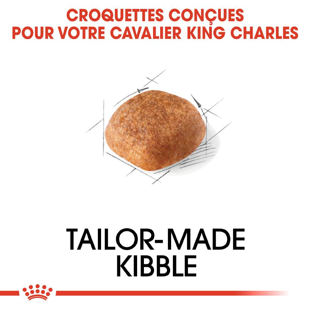 Royal Canin - Croquettes pour Chien Cavalier King Charles - ROYAL CANIN - Image 6
