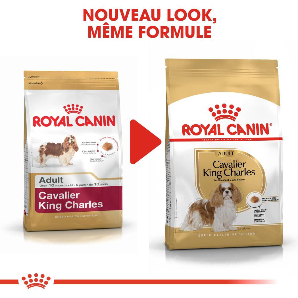 Royal Canin - Croquettes pour Chien Cavalier King Charles - ROYAL CANIN - Image 3