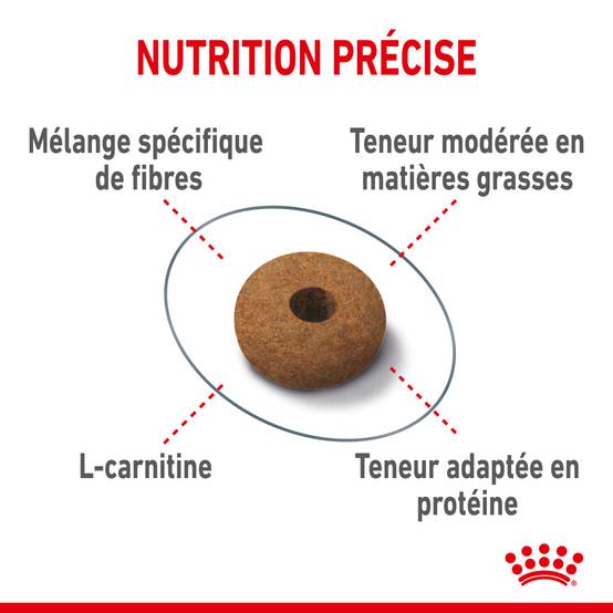 Royal Canin - Croquettes Chat Appetite Control Care - ROYAL CANIN - Image 7