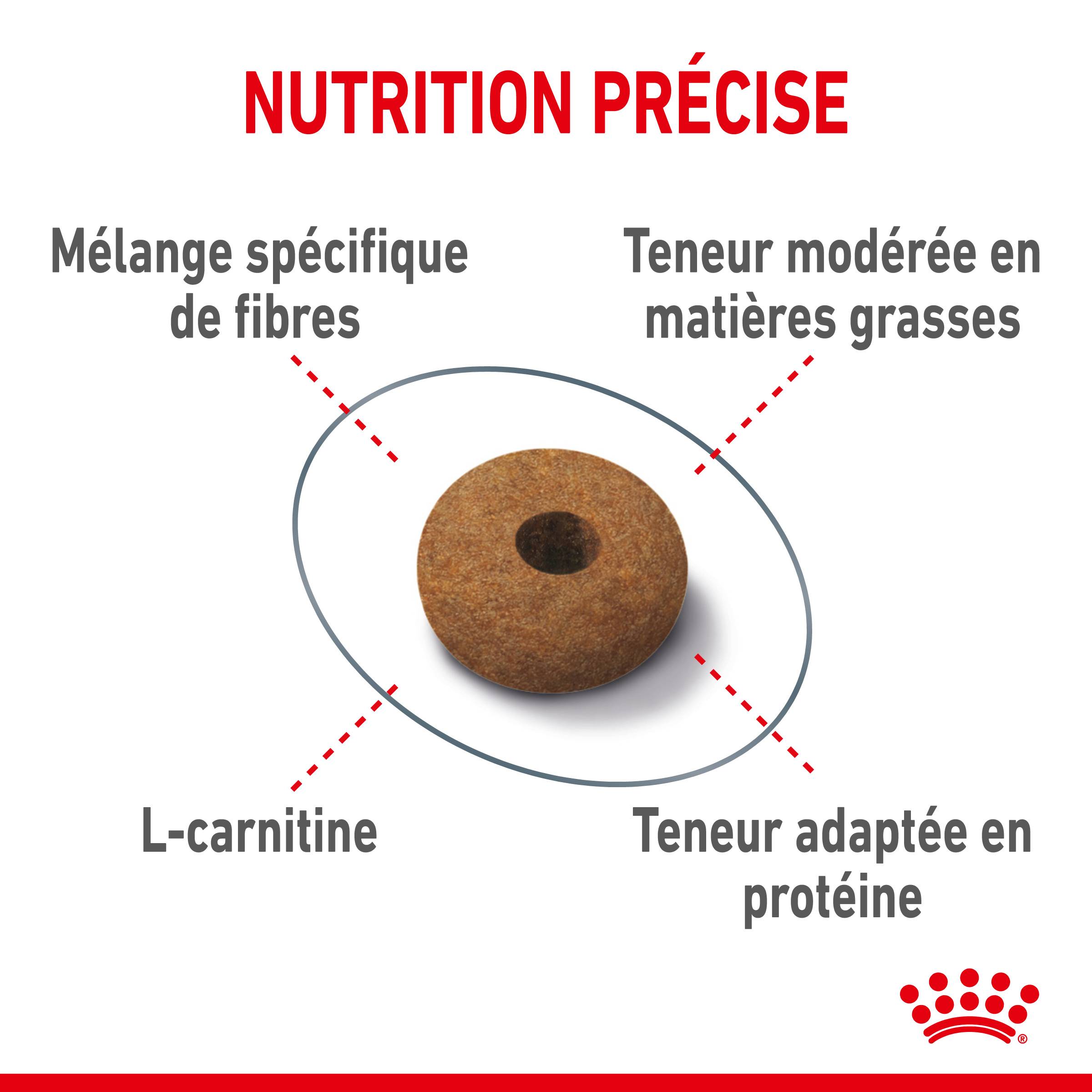 Royal Canin - Croquettes Chat Appetite Control Care - ROYAL CANIN - Image 7