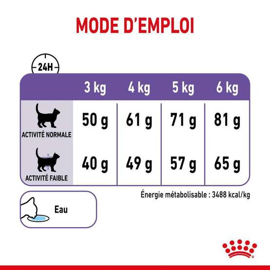 Royal Canin - Croquettes Chat Appetite Control Care - ROYAL CANIN - Image 6