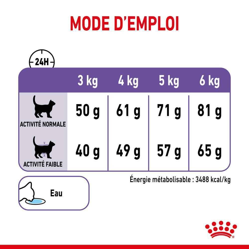 Royal Canin - Croquettes Chat Appetite Control Care - ROYAL CANIN - Image 6