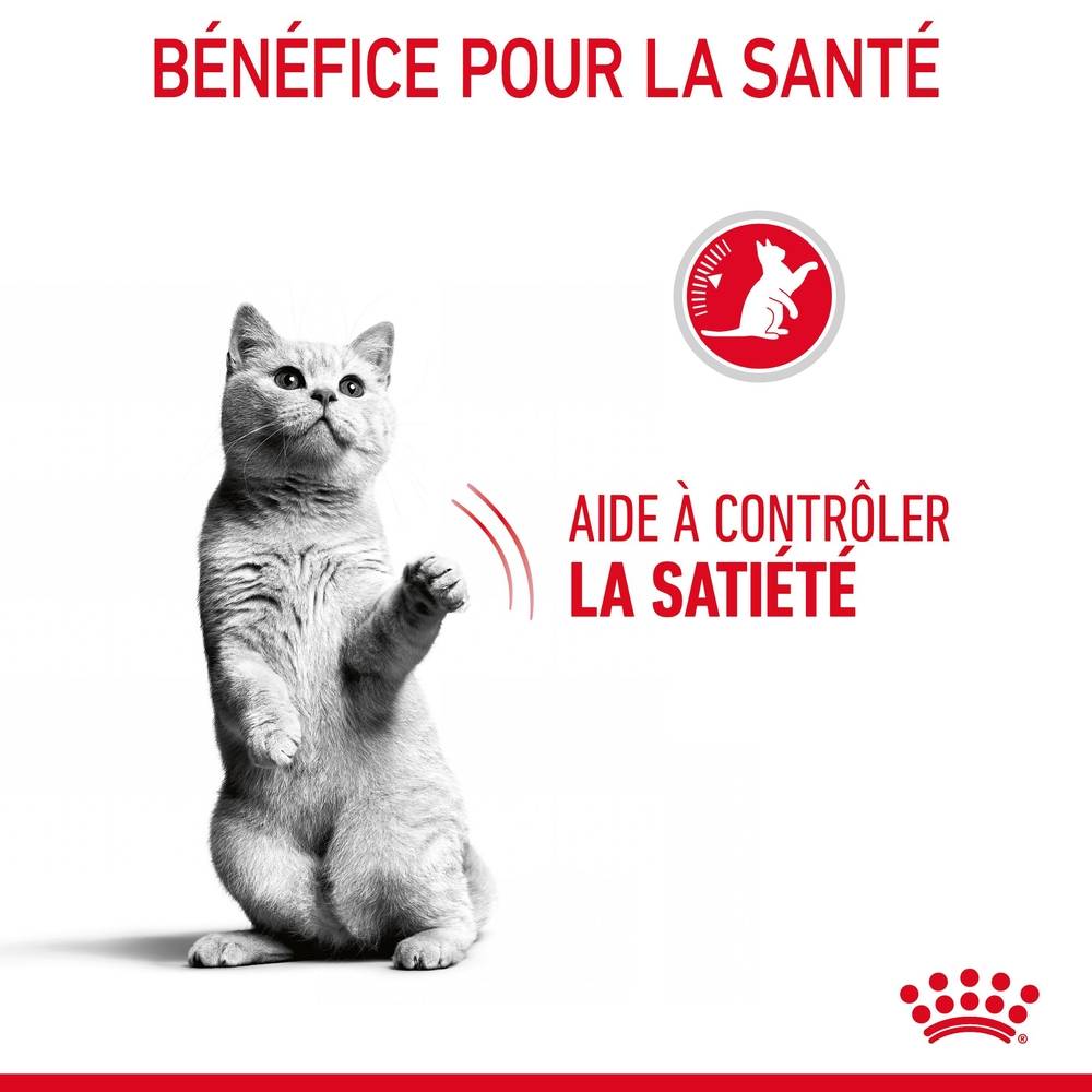 Royal Canin - Croquettes Chat Appetite Control Care - ROYAL CANIN - Image 10