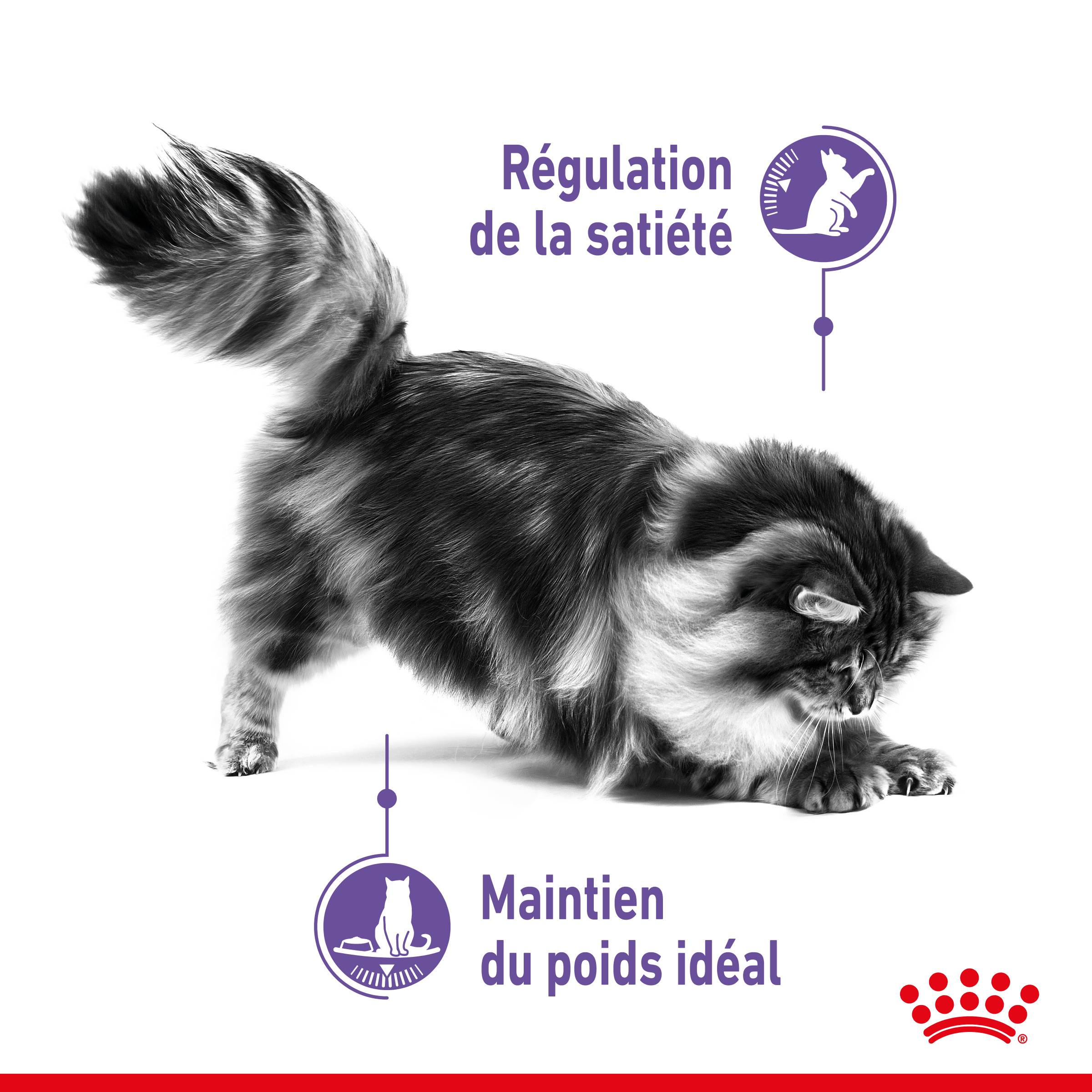 Royal Canin - Aliment chat APPETITE CONTROL CARE - ROYAL CANIN - Image 11