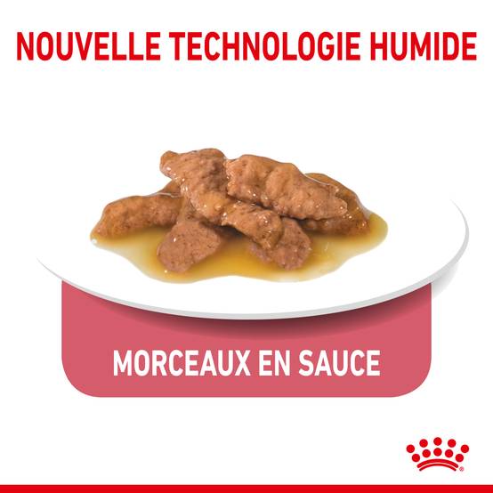 Royal Canin - Sachets Fraîcheur Chat Indoor - ROYAL CANIN - Image 9