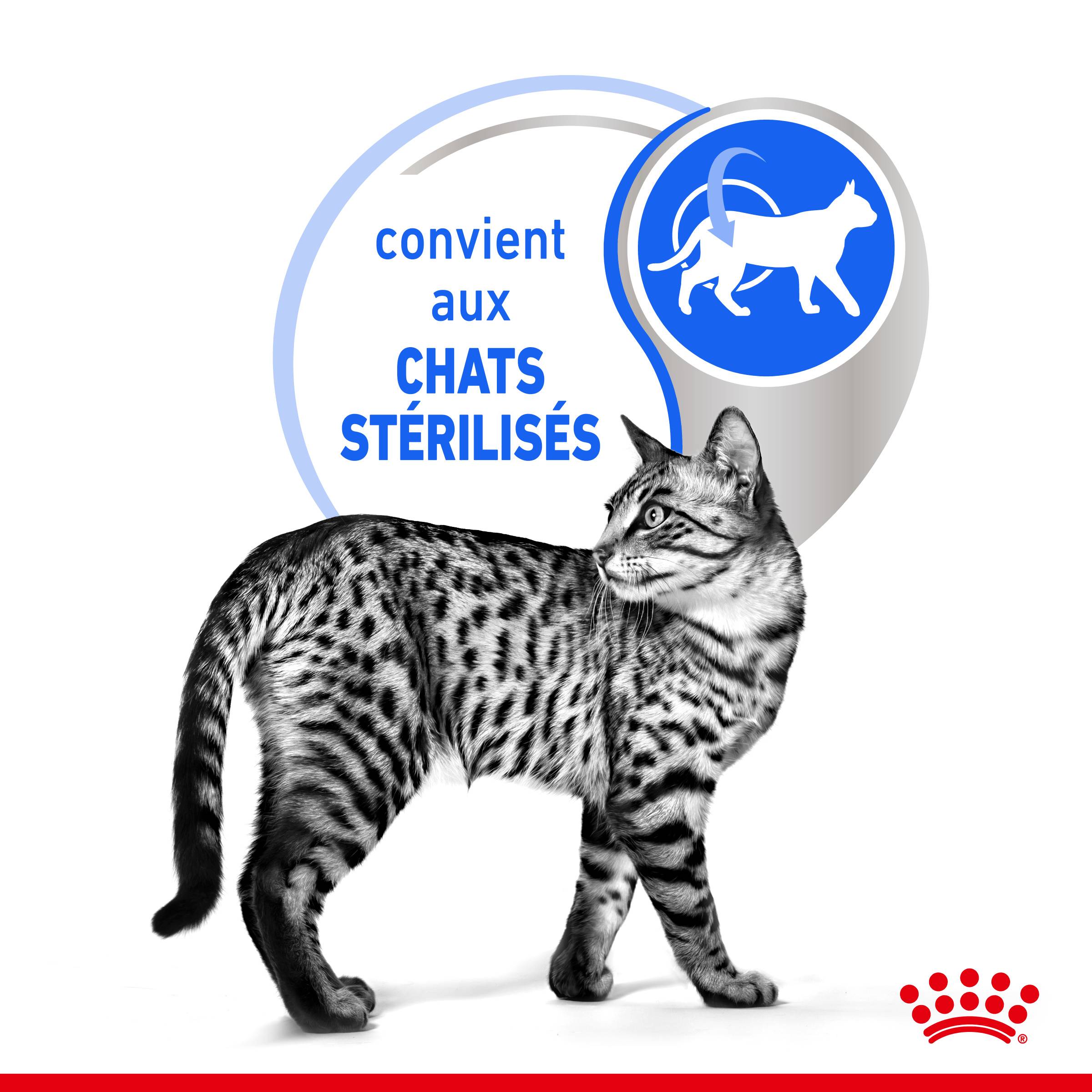 Royal Canin - Gelée chat d'intérieur stérilisé – ROYAL CANIN - Image 10