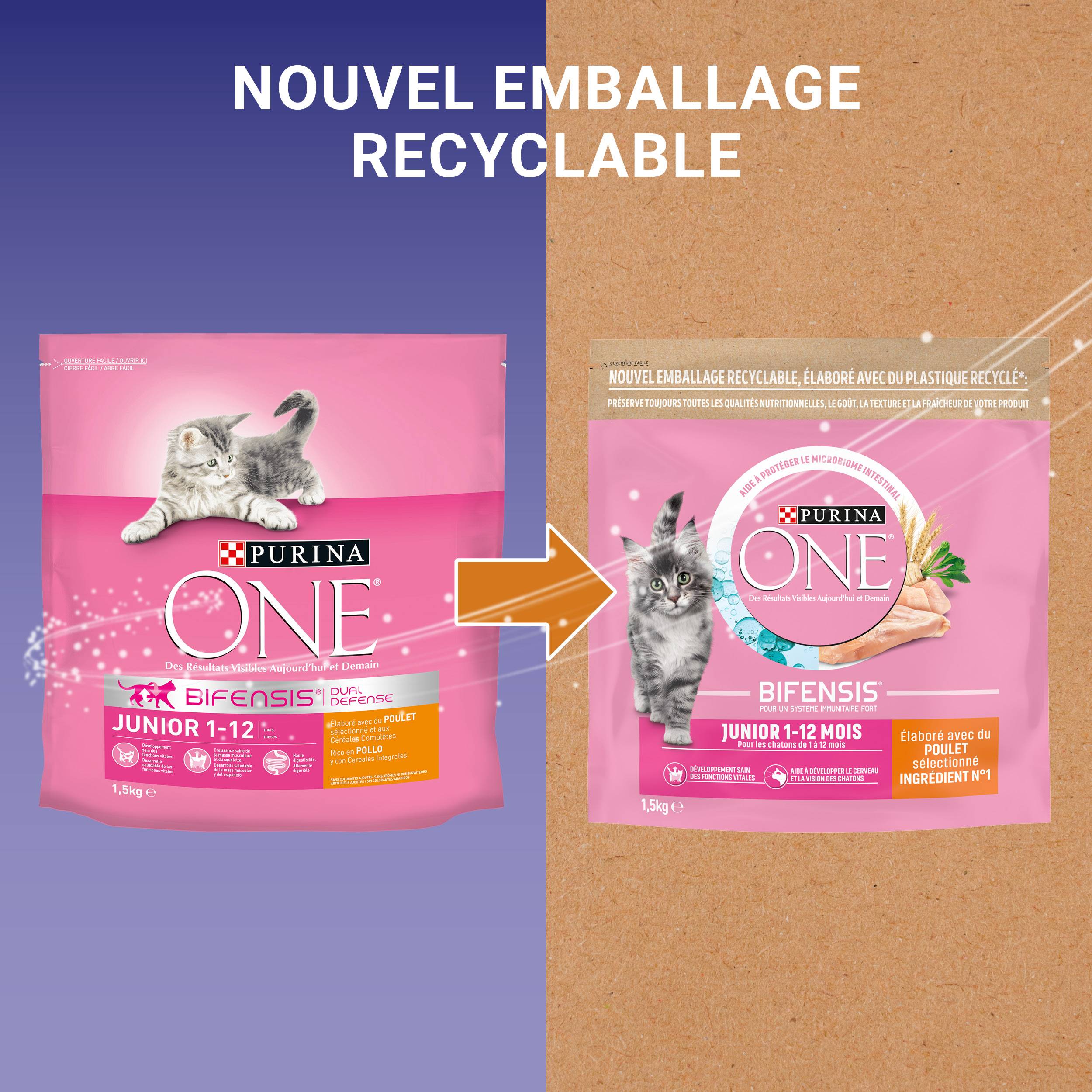 Purina One - Croquettes chaton Poulet Céréales 1,5 kg – PURINA ONE - Image 7