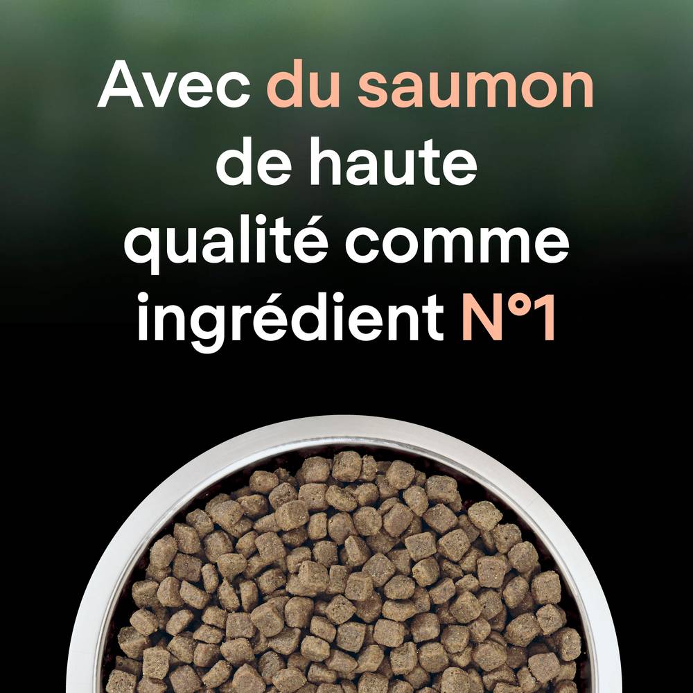 Purina Pro Plan - Croquettes chat LiveClear Adulte Stérilisé Saumon 1,4 kg – PRO PLAN - Image 7