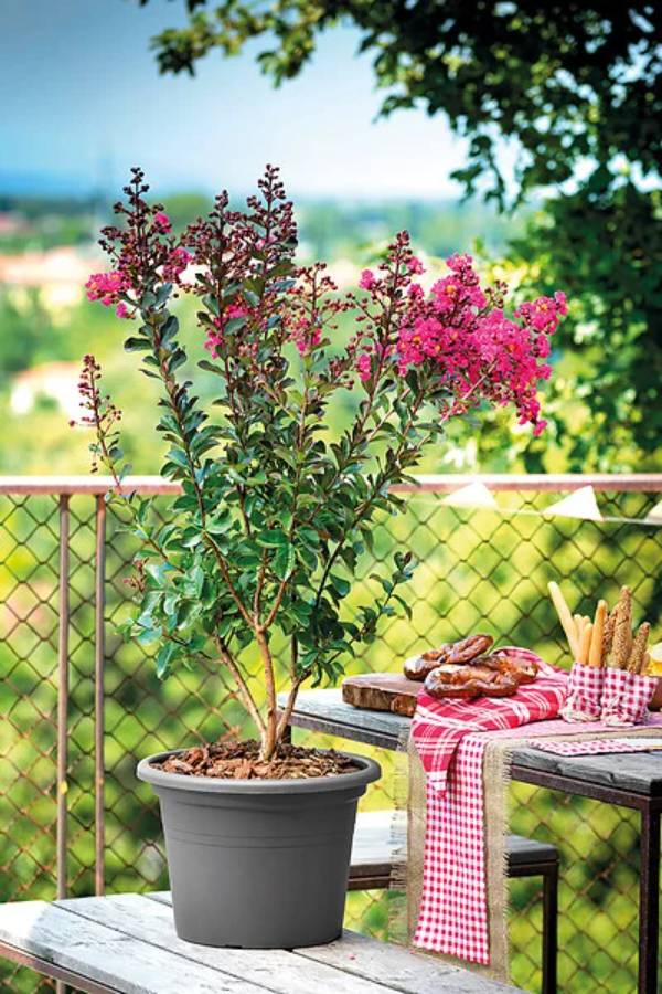 Deroma - Pot de Fleurs Rond Recyclat Anthracite – DEROMA - Image 2