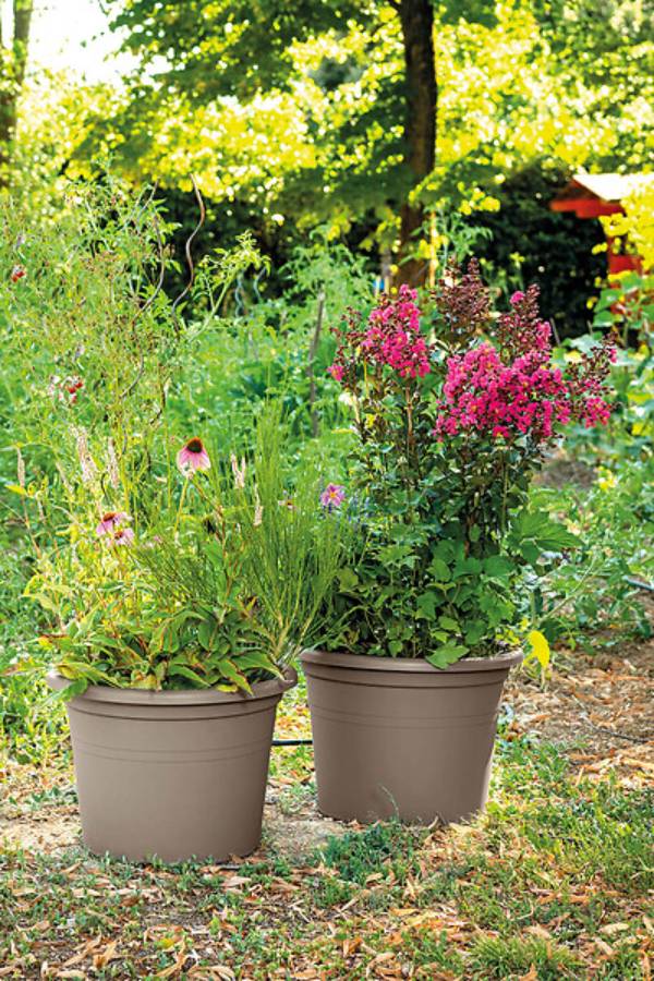 Deroma - Pot de Fleurs Rond Polypropylène Taupe – DEROMA - Image 2