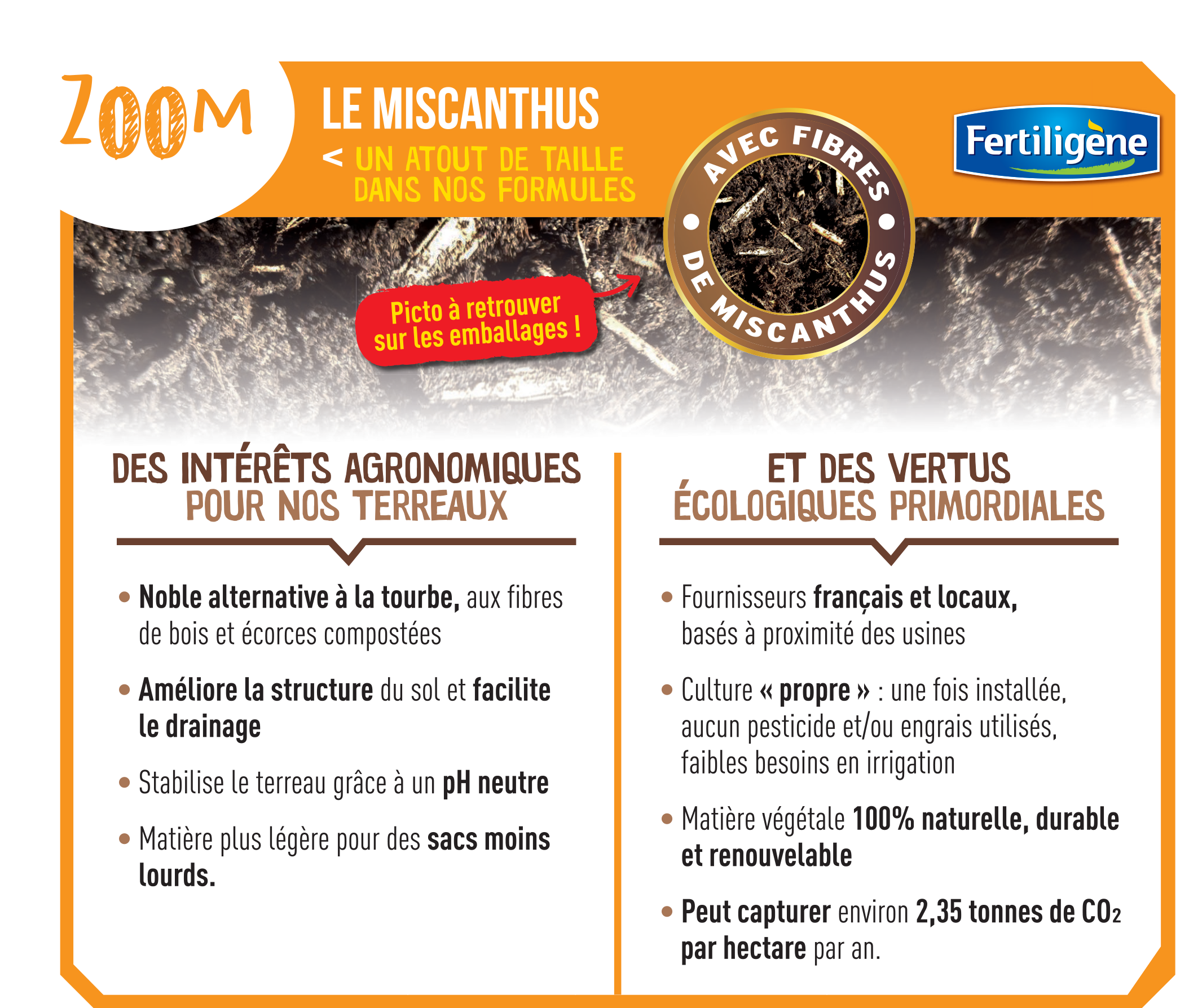 Fertiligène Naturel - Terre du jardinier sans tourbe - FERTILIGENE - Image 4
