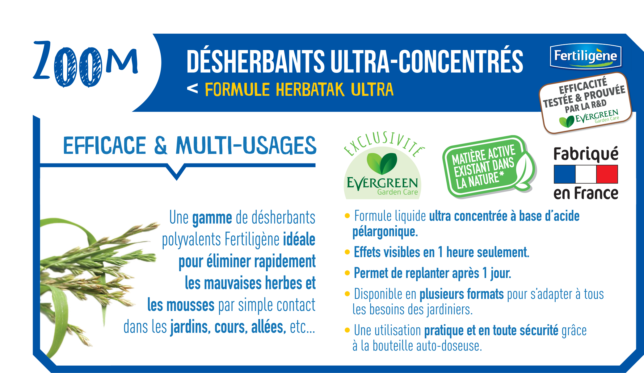 Fertiligène - Désherbant Concentré Jardin Cours Allées Tubes 12 tubes 120m² - Image 2
