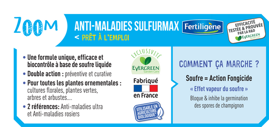 Fertiligène - Anti-Maladies Rosiers - FERTILIGENE - Image 2