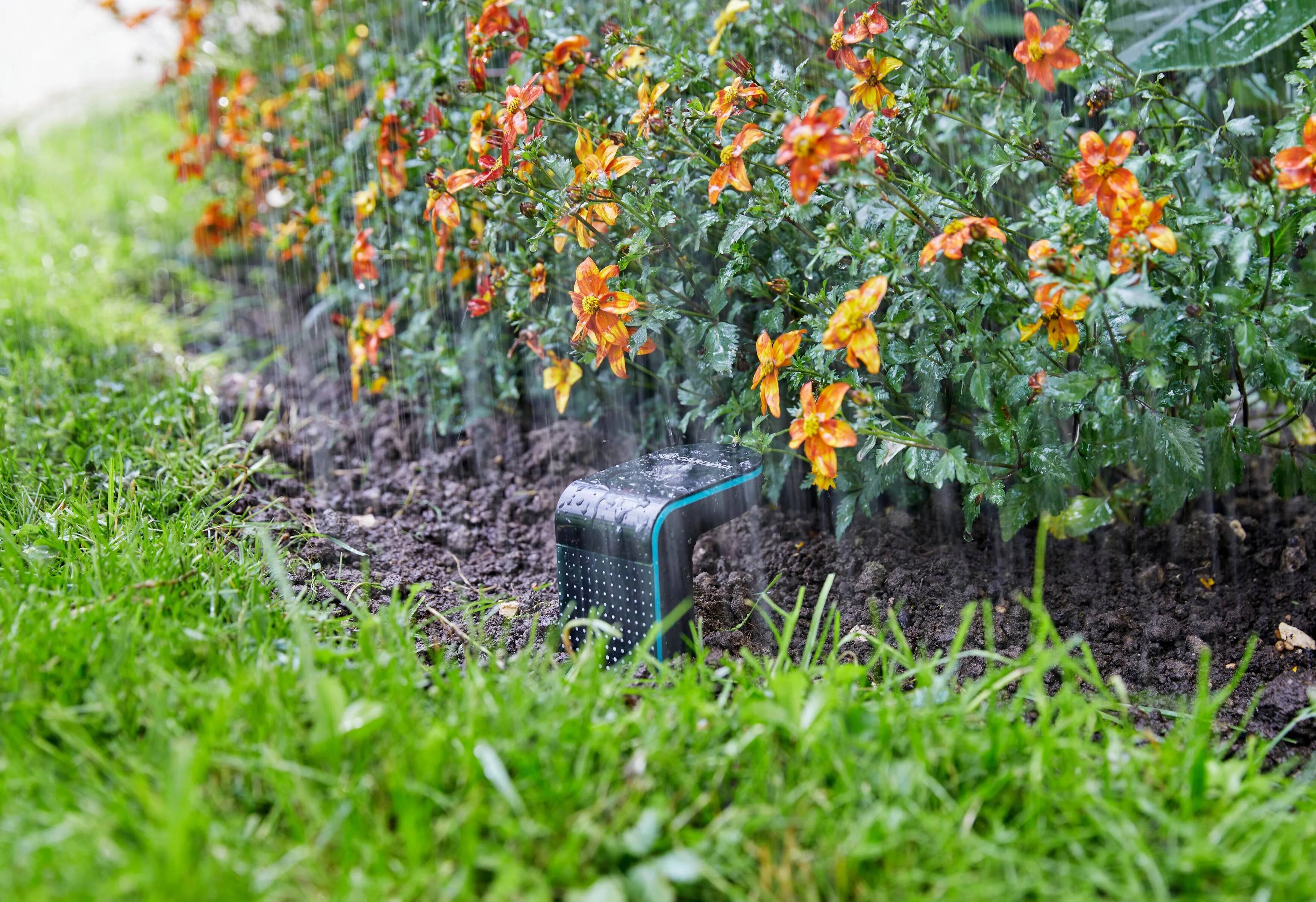 Gardena - Sonde d'humidité connectée à piles smart sensor - Gardena - Image 11