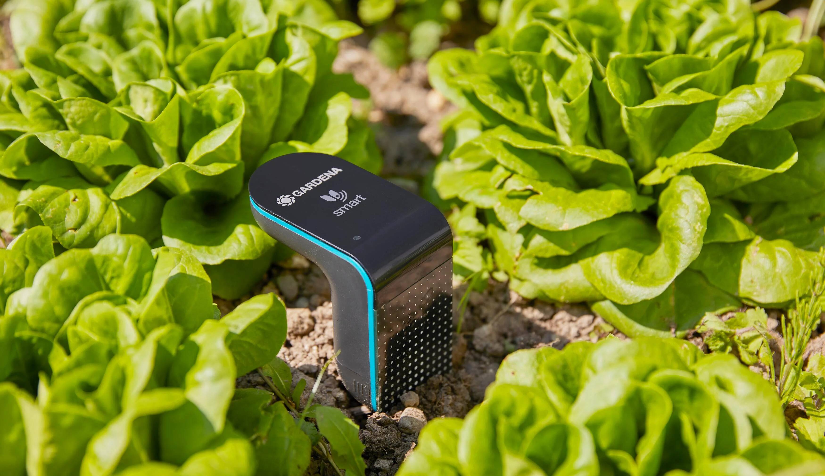 Gardena - Sonde d'humidité connectée à piles smart sensor - Gardena - Image 10
