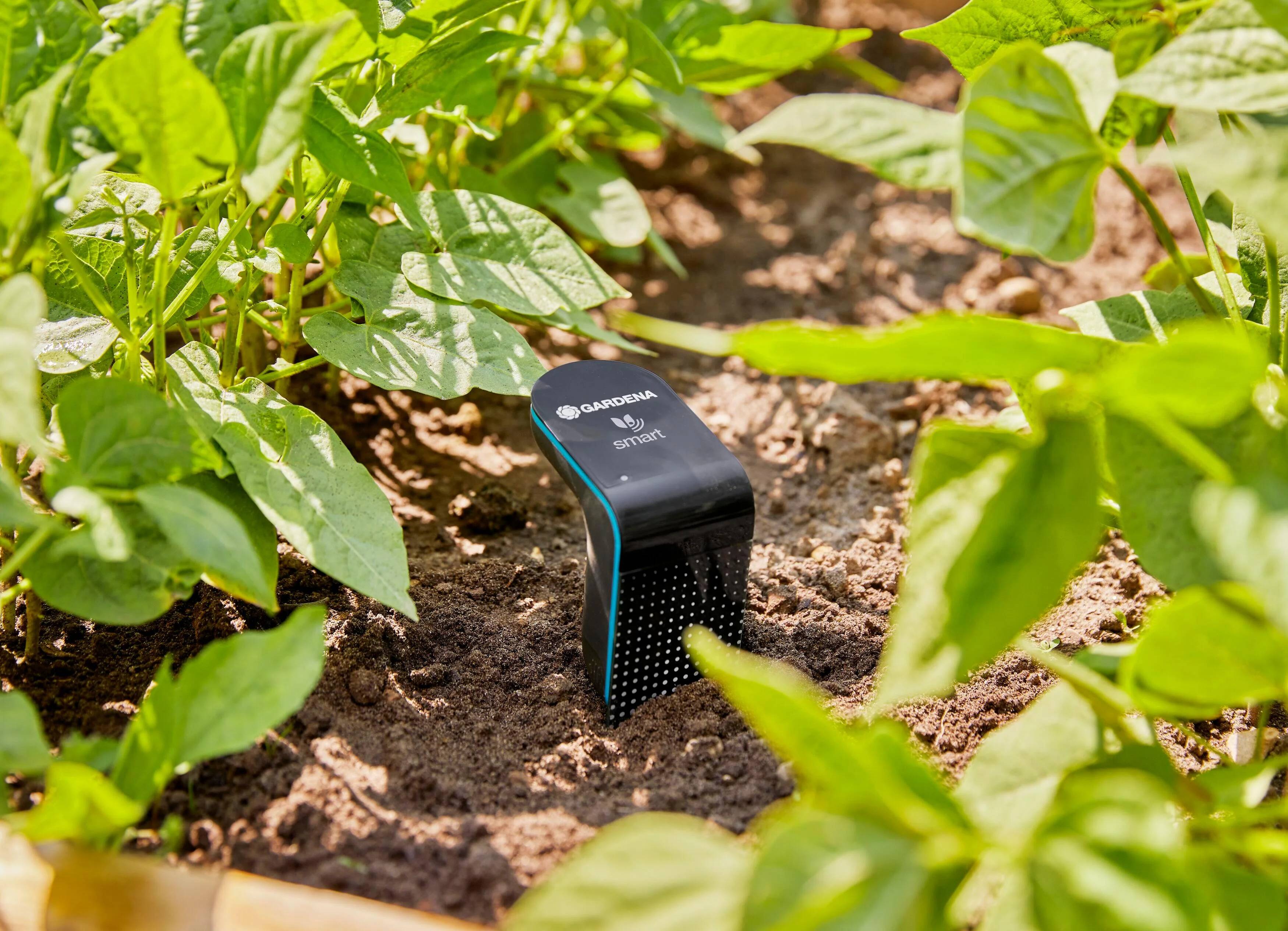 Gardena - Sonde d'humidité connectée à piles smart sensor - Gardena - Image 9