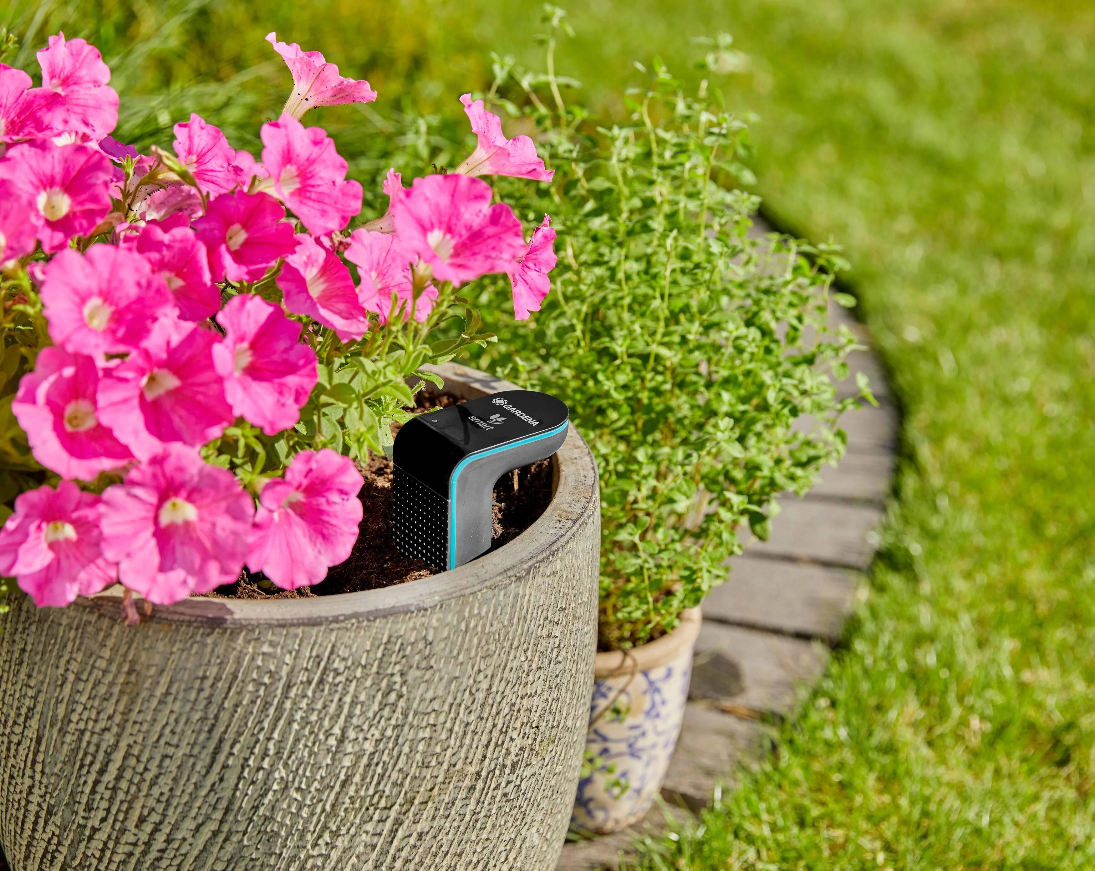Gardena - Sonde d'humidité connectée à piles smart sensor - Gardena - Image 7