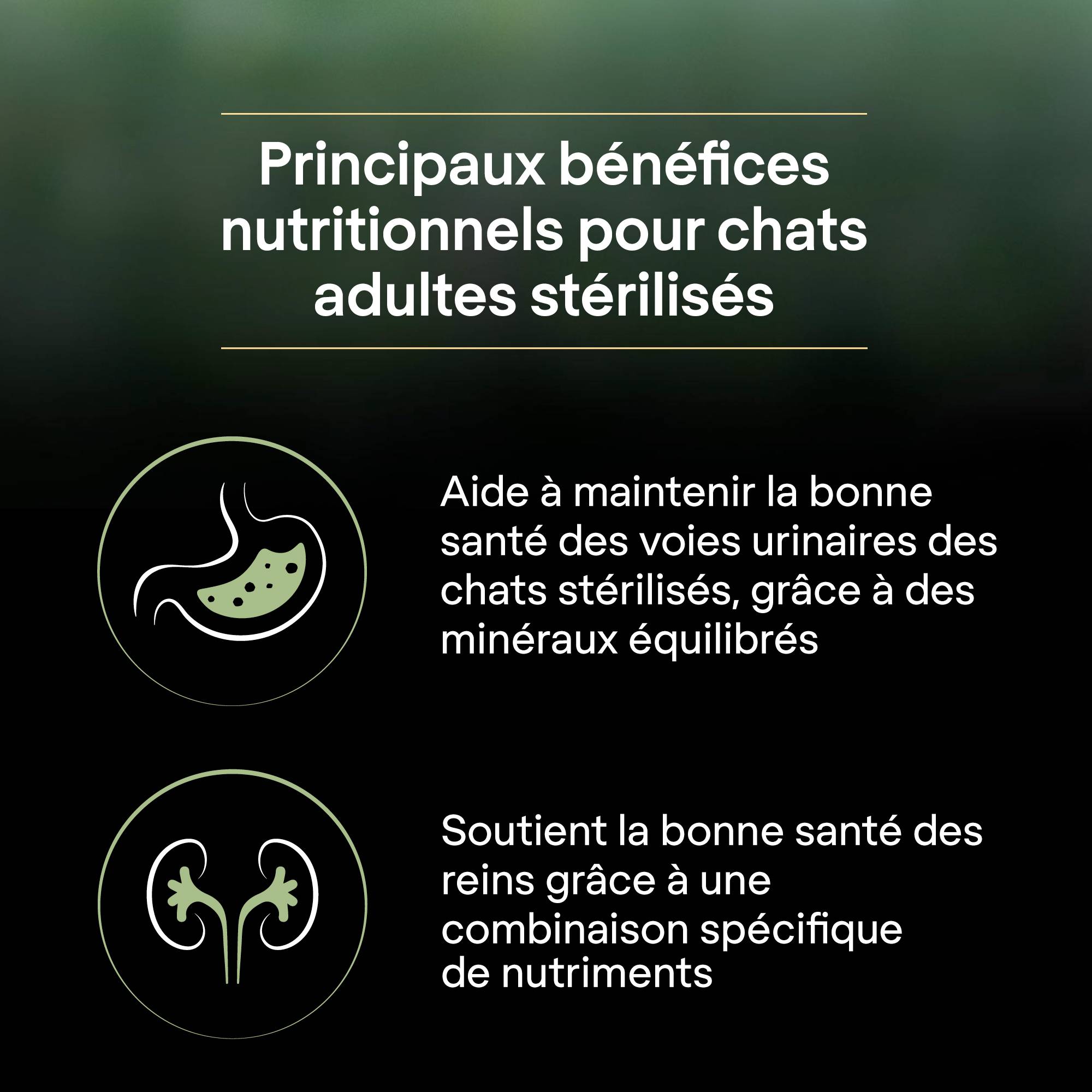 Purina One - Croquettes chat LiveClear Stérilisé Saumon2,8 kg - PRO PLAN - Image 10