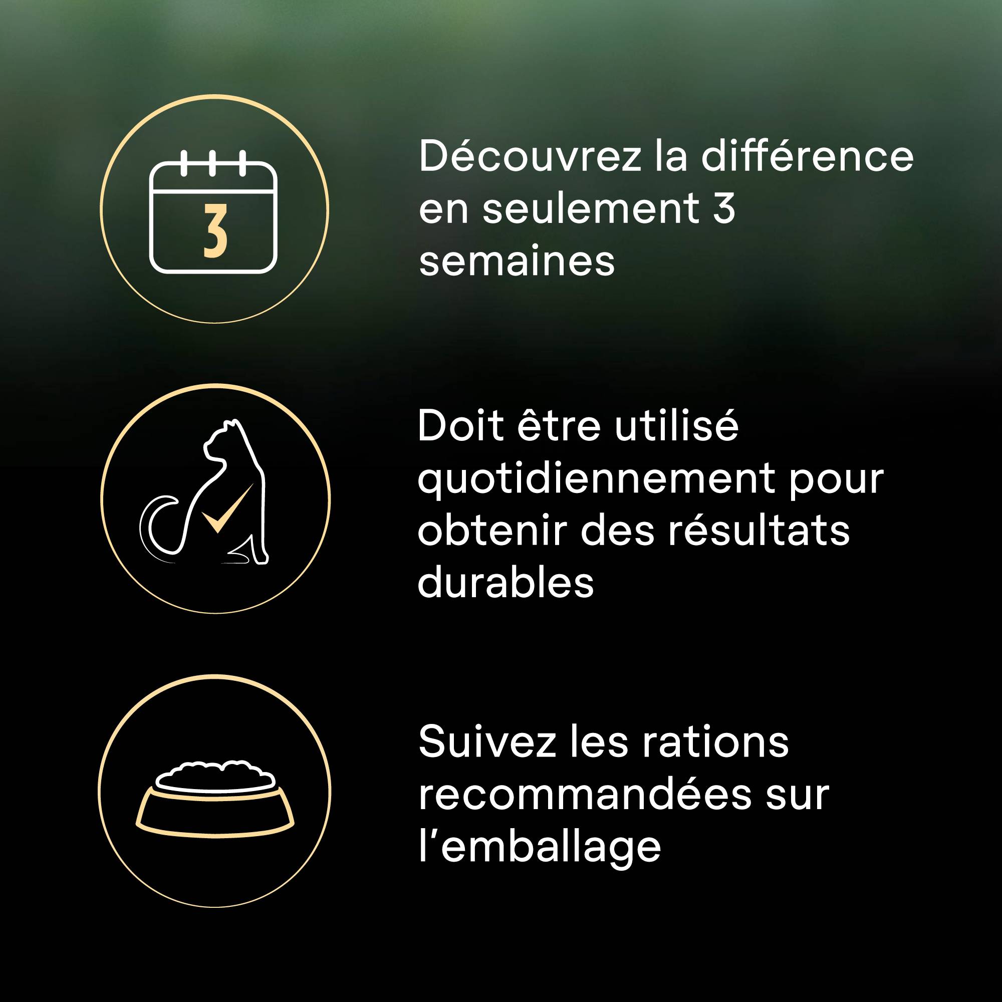 Purina One - Croquettes chat LiveClear Stérilisé Saumon2,8 kg - PRO PLAN - Image 2