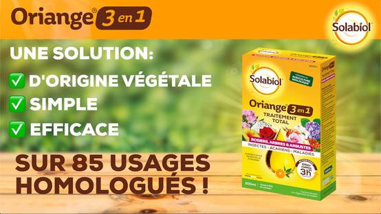 Solabiol - Traitement Total 3 en 1 – SOLABIOL - Image 3